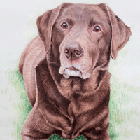 Karen Frampton, New Forest Artist, paintings, greeting cards, murals, slate, Hampshire, UK